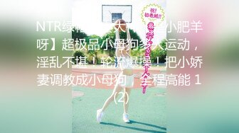 SWAG F奶姬各种谜之视角男人最爱晃奶姿势 梵熙