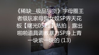 《稀缺__极品狠货》字母圈王者级玩家母狗女奴SP界天花板【曙光0521】私拍，露出啪啪道具调教暴力SP身上青一块紫一块的 (13)