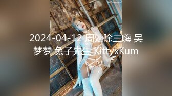 2024-04-12 周处除三嗨 吴梦梦 兔子先生 KittyxKum