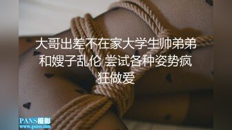 大哥出差不在家大学生帅弟弟和嫂子乱伦 尝试各种姿势疯狂做爱