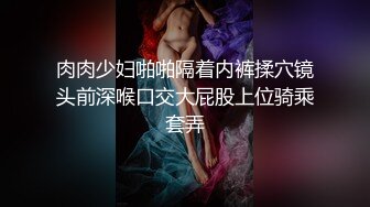 肉肉少妇啪啪隔着内裤揉穴镜头前深喉口交大屁股上位骑乘套弄