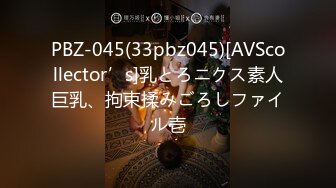 PBZ-045(33pbz045)[AVScollector’s]乳とろニクス素人巨乳、拘束揉みごろしファイル壱