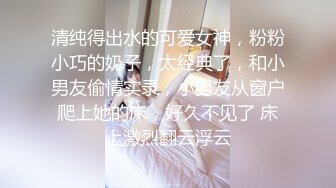 【小宝寻花】包臀T恤小姐姐，美腿笔直的不像话，被小宝一顿狂艹！--4K字幕版 (2)