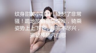 《性爱保险推销员》