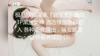 《经典绝版》极品豪乳女神㊙️穿上黑丝和富豪男友啪啪私拍流出