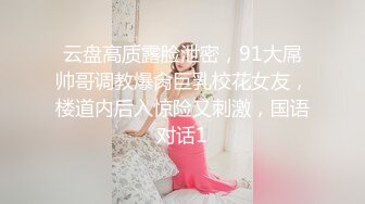 无tao上位后入