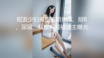 《台湾情侣泄密》冒充假经纪人让美女脱光了看看身材合不合格 (1)