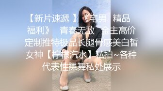 近距离拍摄流莺