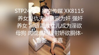 麻豆传媒 MD-0288 苏畅 操爆骚话女仆 每天都是情人节