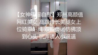 【秀人女神??超美高端】超人气女神『杨晨晨』最新顶级剧情大尺度第一视角看美乳和浪穴 情趣红裙黑丝 高清720P版