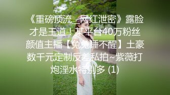 透明 网袜情趣装 娇媚身姿淋漓尽致绽放 女性的韵味娇艳醉人