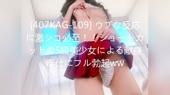 赵总探花-大奶子JK制服小姐姐