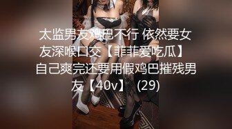 与少妇的激情2