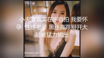  白金泄密流出 气质熟女公务员蓝阿姨与帅气小鲜肉老公自拍性爱不雅视频