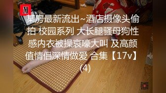 穿上吊带丝袜后变身小母狗