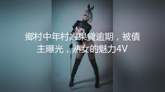 极品女神完美展示长腿肉丝