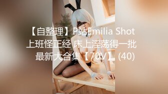 【自整理】P站Emilia Shot  上班怪正经 床上淫荡得一批   最新大合集【70V】 (40)