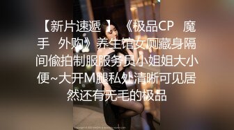 奔馳哥的迷人母狗小情婦，舔狗壹樣，坐在副駕駛伸進短裙裏扣茓108P+3V