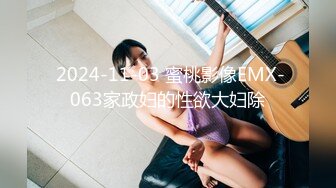  2024-11-03 蜜桃影像EMX-063家政妇的性欲大妇除