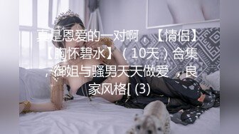 网友，女仆