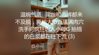 ✨温婉气质✨黑丝和内裤都来不及脱，撕碎大jb直填满肉穴 洗手间疯狂后入小母G 抽插的白浆都在往下流 (3)