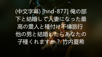 (中文字幕) [hnd-877] 俺の部下と結婚して人妻になった最高の愛人と種付け不倫旅行 他の男と結婚したらあなたの子種くれますか？ 竹内夏希